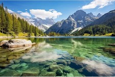 Mountain Lake Aquarium Background Pine Trees Ldyllic Landscape Fish Tank 30"x18"