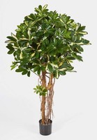 Artplants KüNstliche Schefflera Naturell, Getopft, GrüN-Weiß, Lianen, 140Cm