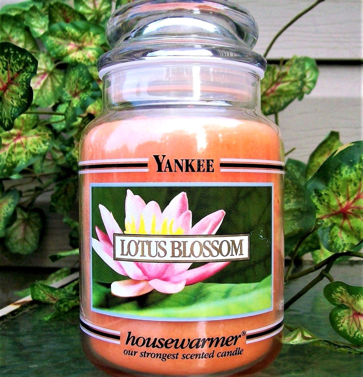 Yankee Candle Retired Black Band 