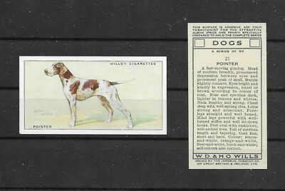 1937 UK Dog Art Wardle Body Study Wills Cigarette Trade Card ENGLISH POINTER