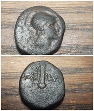  on The Hot Collector