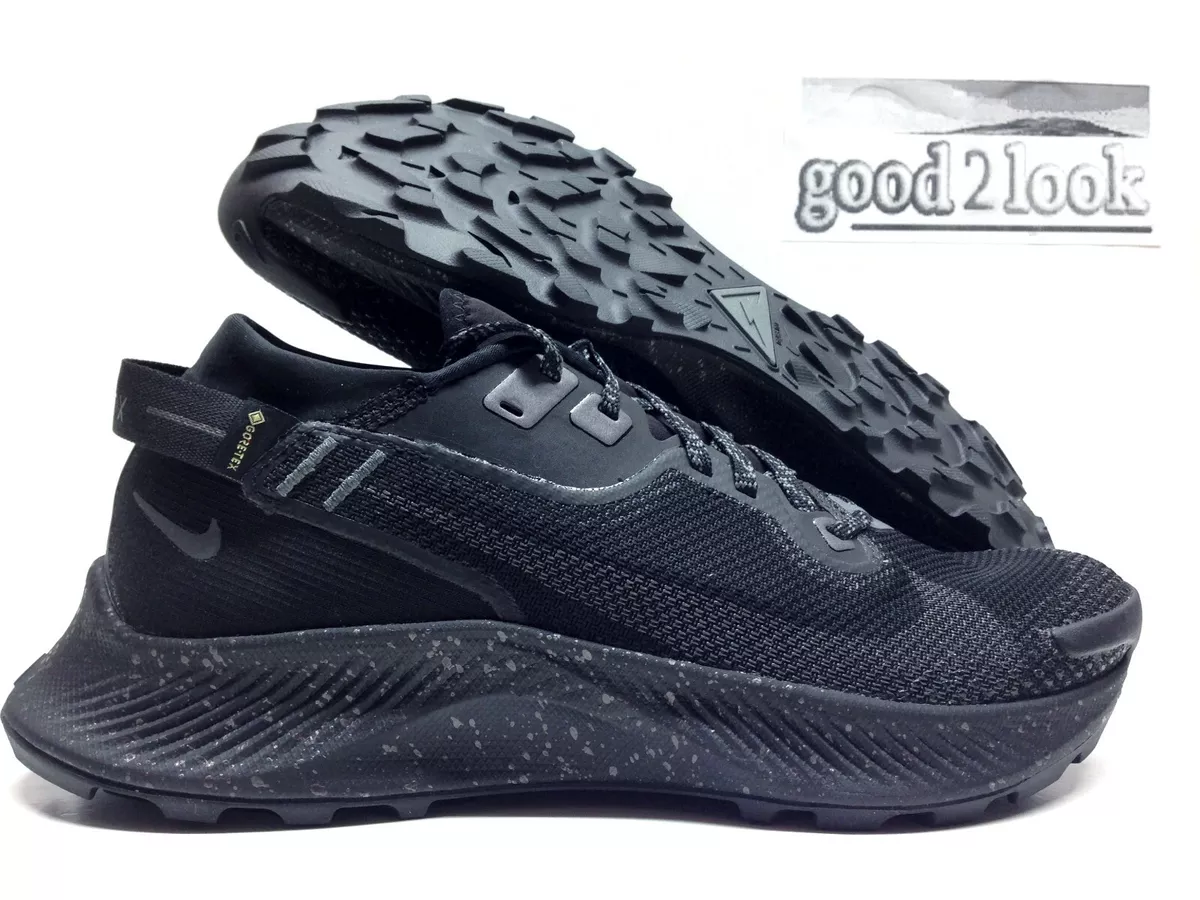 Pegasus 2 nike store