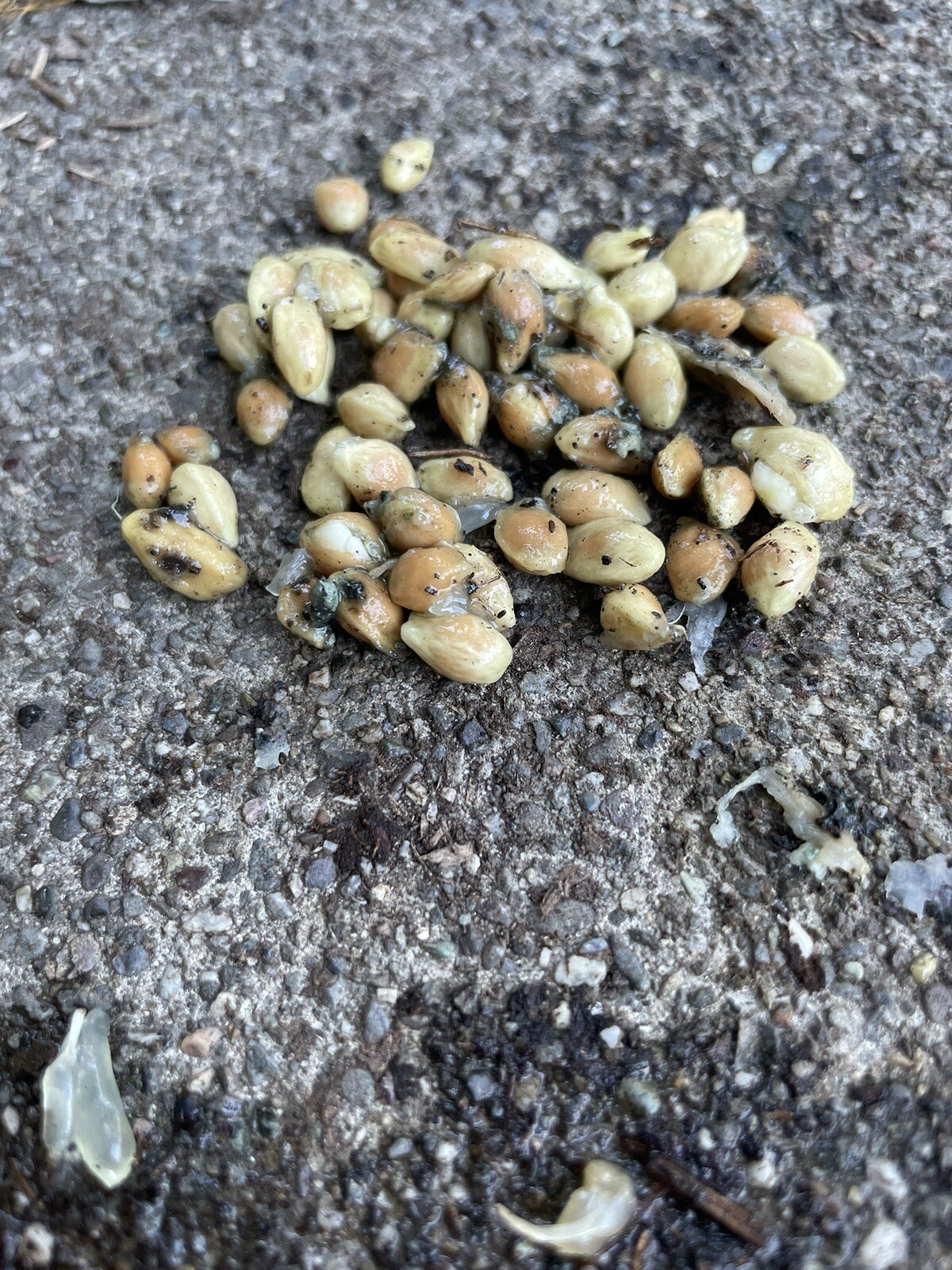 Picture 4 of 4