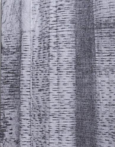 The lasting one, that didn’t last, that still lasts by Hannelore Dijck NEW - Image 3