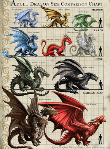 Download Anne Stokes Dragon Size Anatomy Comparison Chart Canvas Picture Wall Art For Sale Online Ebay