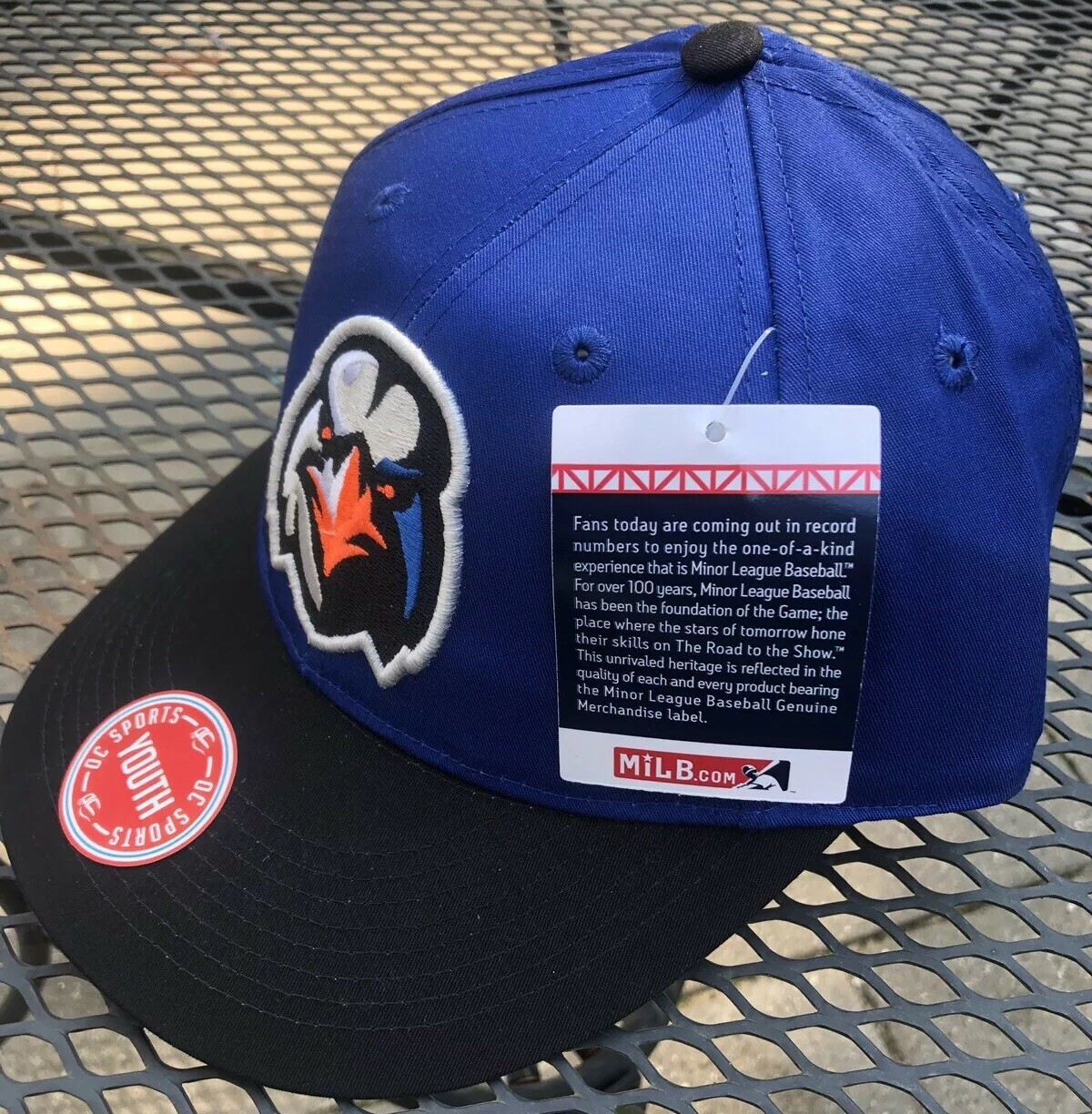 ABERDEEN IRONBIRDS Minor League Replica Baseball Adjustable YOUTH Hat