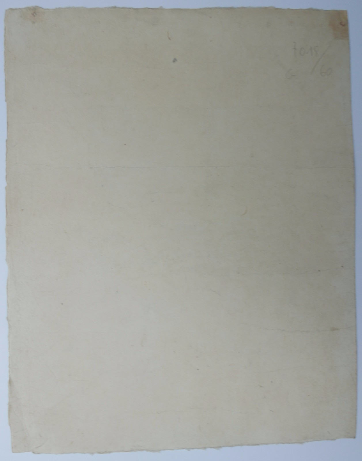 Picture 5 of 5
