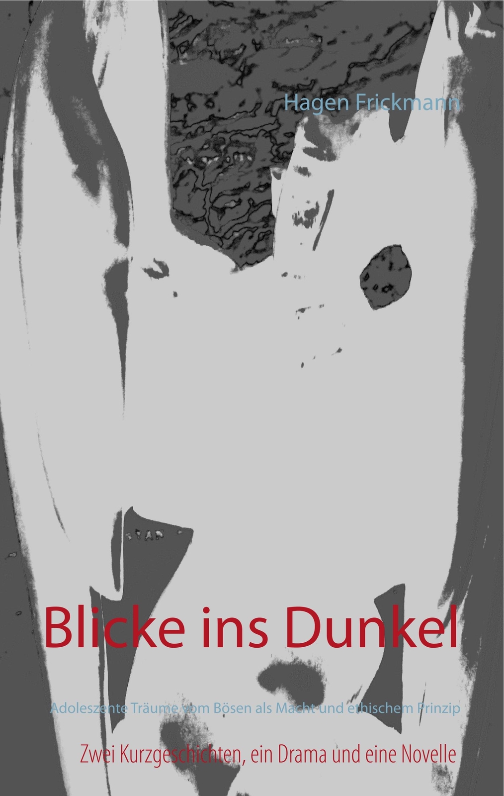 Blicke Ins Dunkel | Buch | 9783752829884