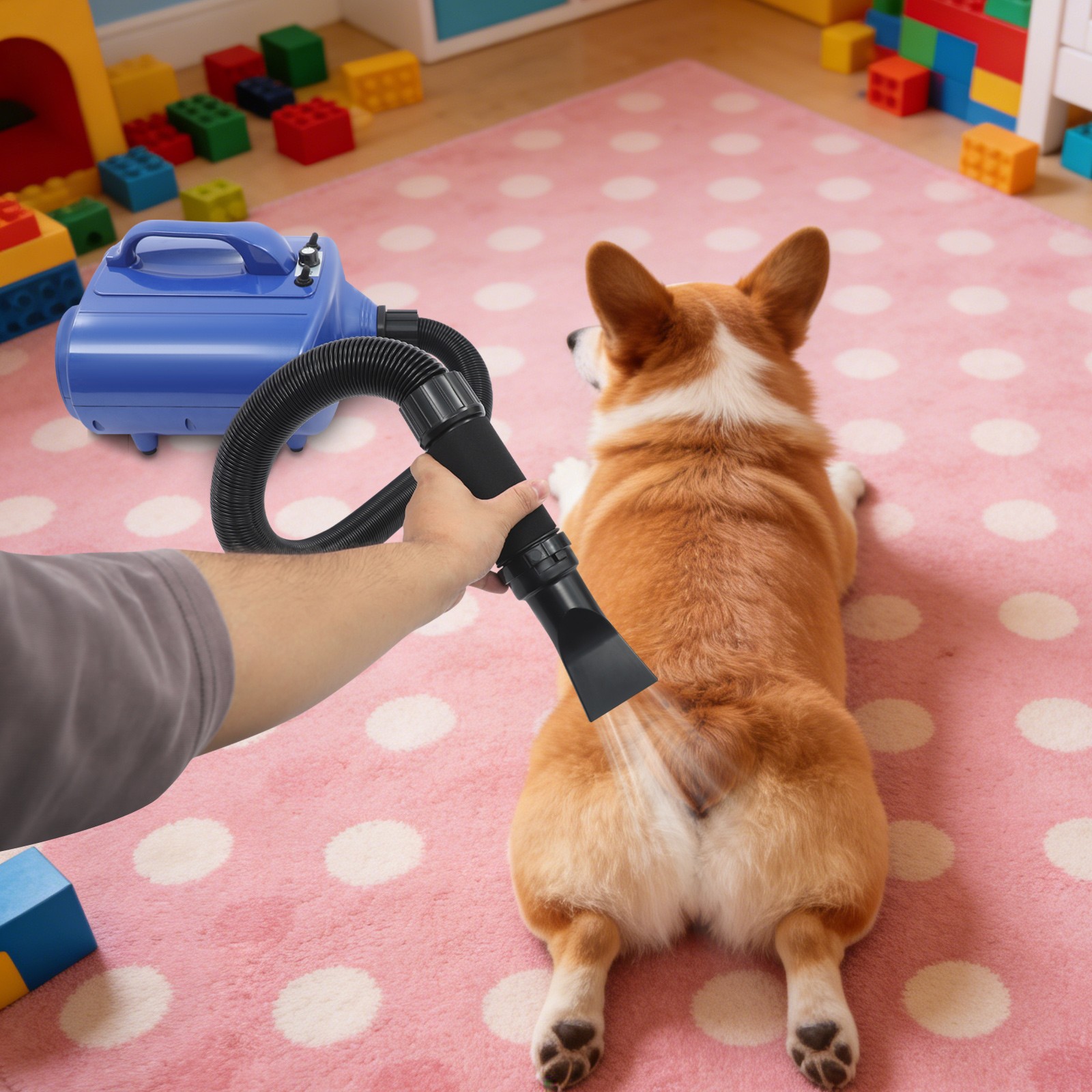 Professional Pet Hair Dryer Dual-motor Blower Adjustable Speed Pet Grooming Tool