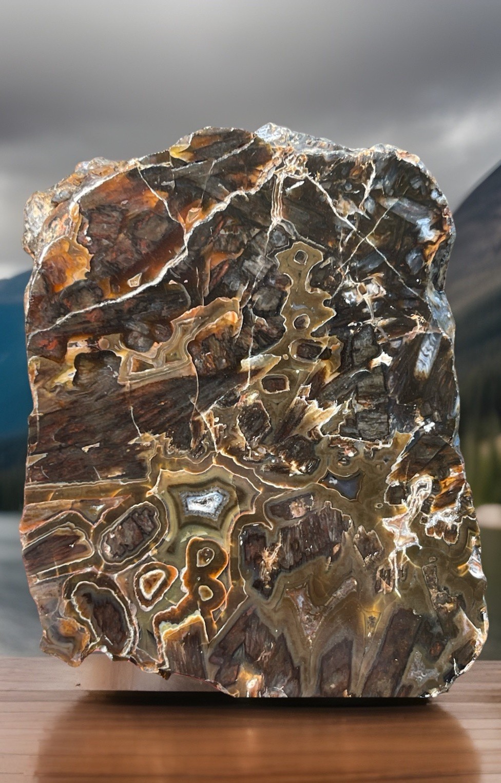 Turkish Stick Ankara Agate W/ Mirror Polish