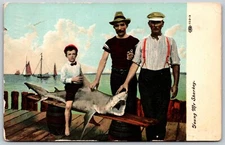 1911 Fishing Catch 'Young Mr Sharkey' Boy Sits On Shark ANTIQUE Postcard 8291