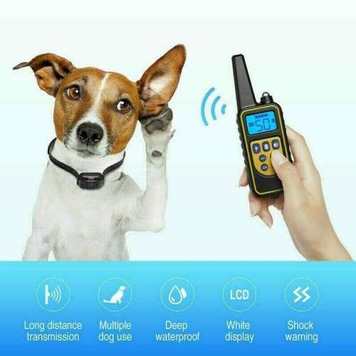 COLLARE 800M IMPERMEABILE TELECOMANDO CANI SCOSSA ELETTRICO ADDESTRAMENTO LCD - Foto 6 di 10