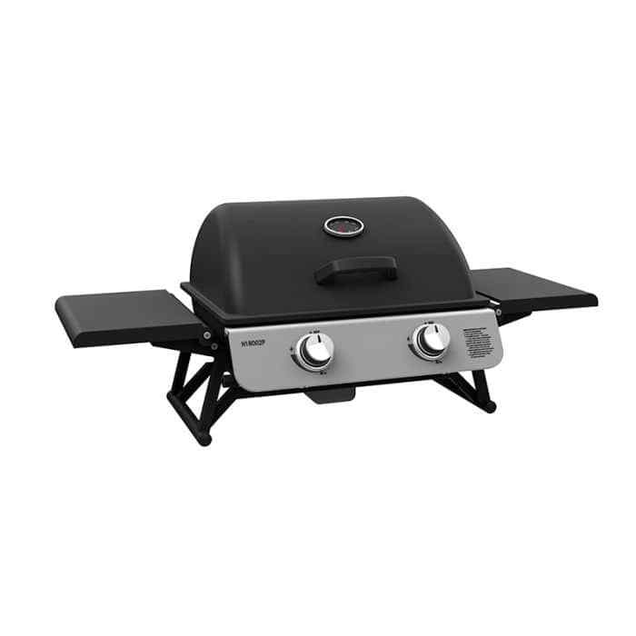Barbecue à gaz portable 2 feux pour pique-nique en plein air et repas nomades