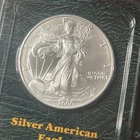 2000 1 Ounce Uncirculated Silver American Eagle (P) In Littleton Holder