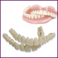 28 Pcs Resin Denture False Teeth Firm Make Your Own Dental Teeth Teaching Model