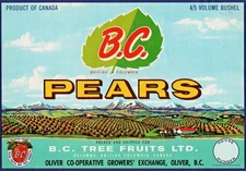 B.C. PEARS Original Canadian Fruit Crate Label Litho 66 Oliver Co-Operative