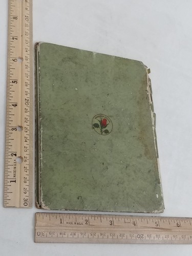 The Story of Jesus 1906 Rosebud Series Holiday Publishing Illustrated Antique HC - Bild 2 von 19