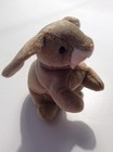 Foto 6 di 6