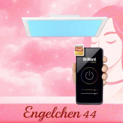 Brilliant Leuchten ATIRA LED 24W Dimmer Tuya Smart LED Deckenleuchte weiß Metall