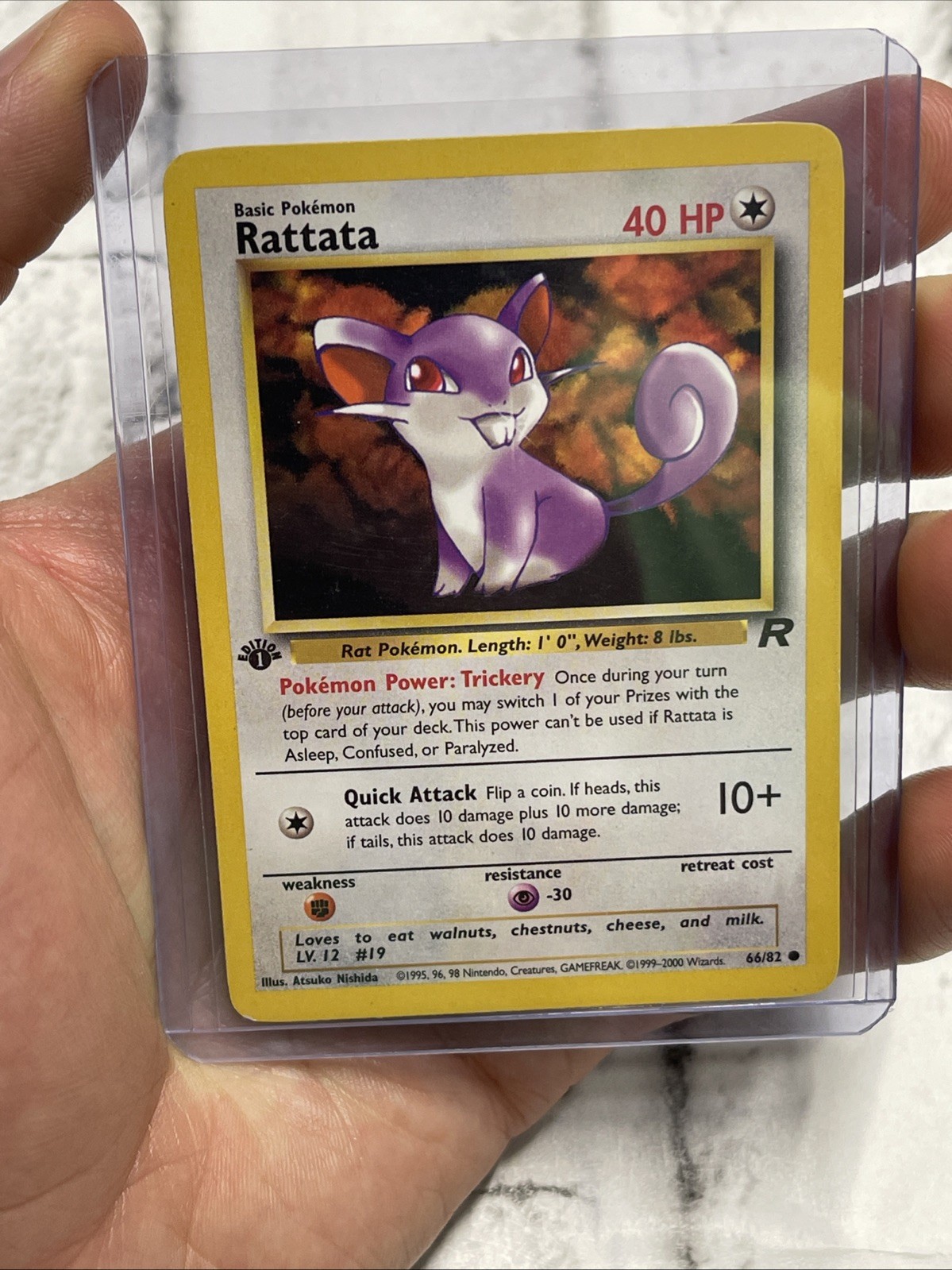 Pokémon TCG Team Rocket 1st Edition NM Rattata 66/82 Card Vintage Pokémon WOTC