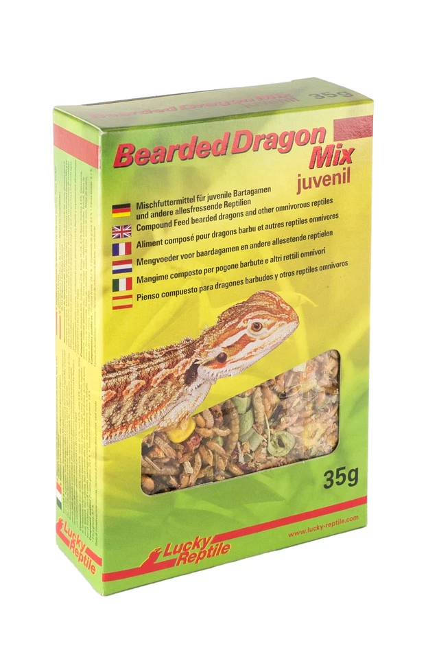 Lucky Reptile Bearded Dragon Mix, 35 Gramm - Bild 1 von 1