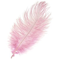StraußEnfedern Rosa Deko 20-25Cm 12 StüCk Echte Federn Hochzeit Basteln