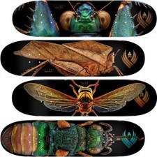 POWELL PERALTA SKATEBOARDS - Flight Deck / Skateboard  - Levon Biss Photo Series