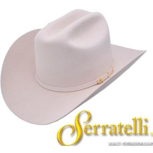 3 brim cowboy hat