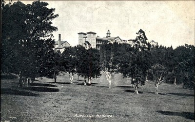 Auckland Hospital Harding & Billing's Post Cards c1900s-10s Vintage Postcard