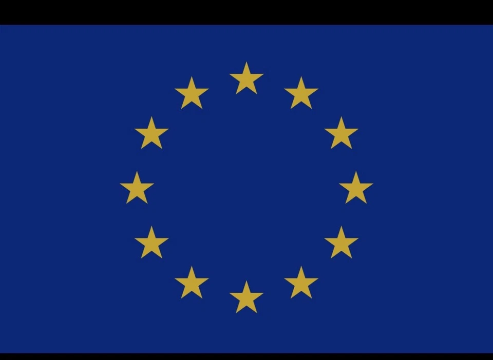 EU  Lizenz Verkehrsleiter