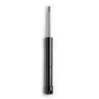 Monroe G7086 StoßDäMpfer FüR Smart
