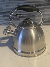 Well Equipped Kitchen Stainless Steel Tea Kettle Black Handle