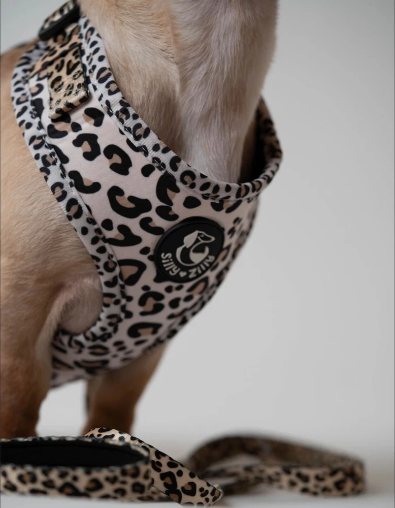Dog Harness & leash matching set