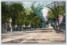 c1910's Residence Street Showing Elms Dirt Road Houses Portland Oregon Postcard