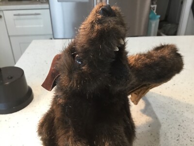 Folkmanis Brown Vampire Bat Plush Full Body Hand Stage Puppet 22'' Wing Span