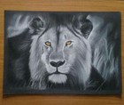 Picture 15 of 57