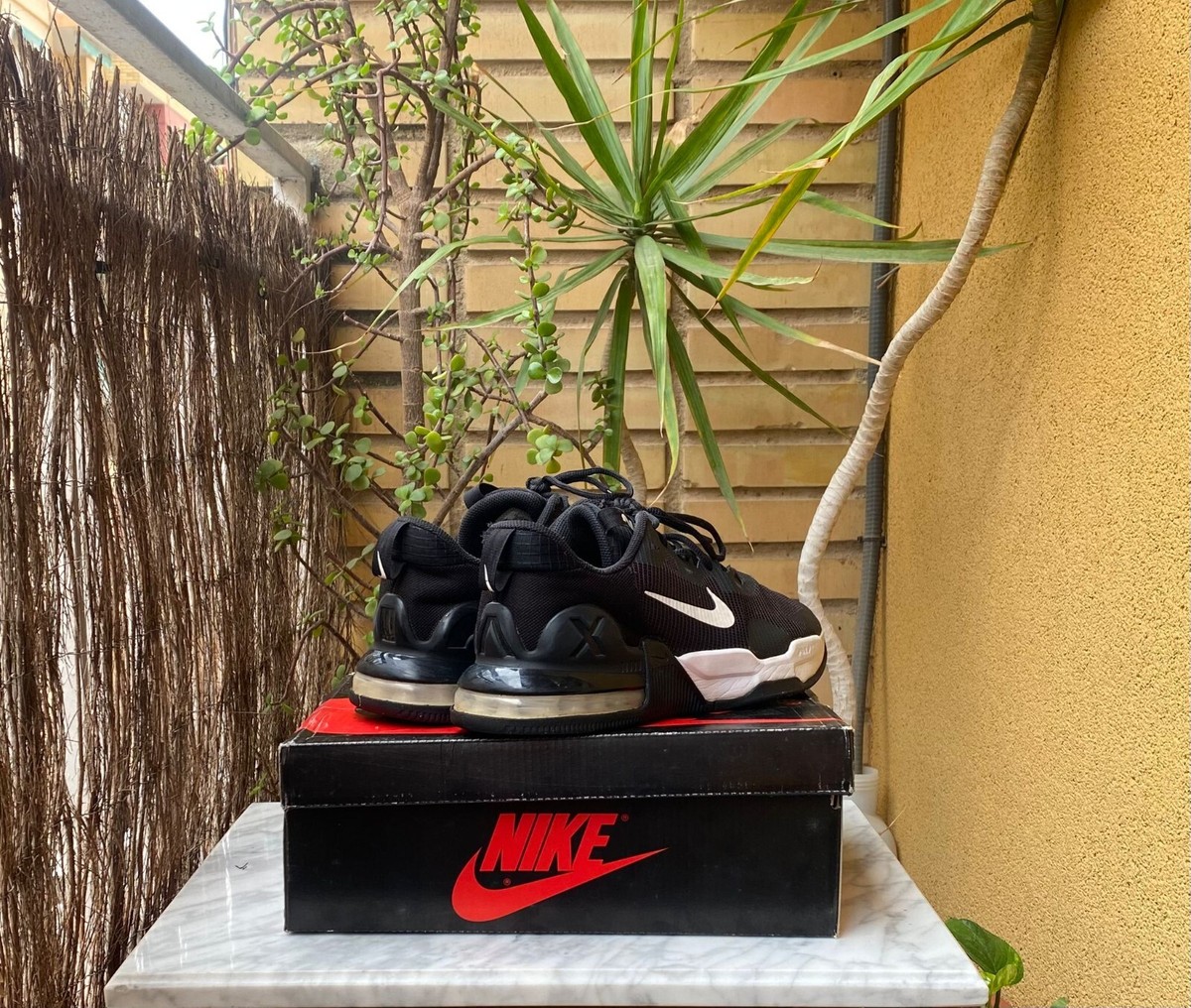 Zapatillas Nike Air Max Alpha Trainer 6 | Talla 45 | Buen estado — product photo 6 of 9