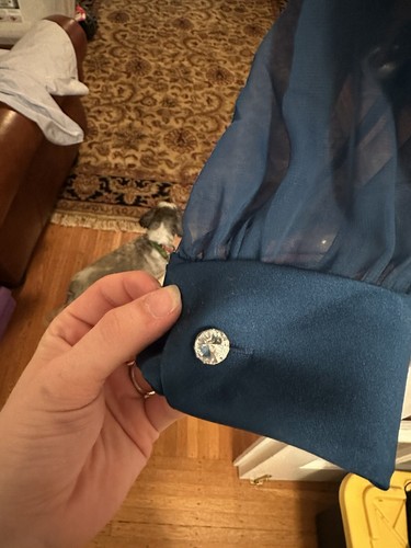 Hand holding a navy blue fabric pouch with silver sequin, attached to a sheer dark blue garment, indoors near a dog.