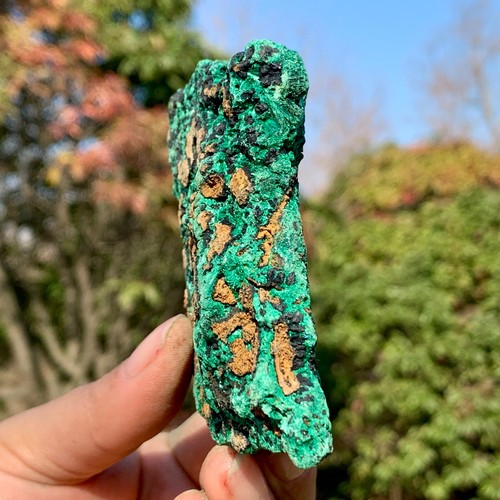 219G Natural VELVET Malachite cat's eye specimen crystal rough mineral-Congo - Picture 3 of 24