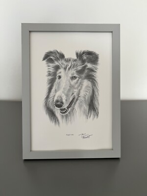 Framed Rough Collie Art Print UK