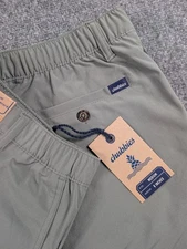 Chubbies The Forests Everywhere Shorts Mens Medium Green 8" NWT