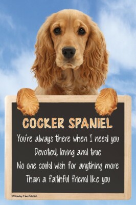 Golden Cocker Spaniel COCKERS SPANIELS signs faithful friend  display picture 3