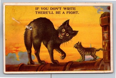 1913 Comic Postcard Black Cat & Kitten ''IF YOU DON'T WRITE THERE'LL BE A FIGHT''