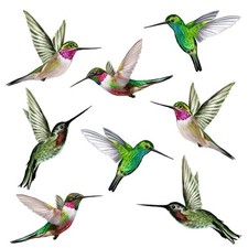 2X(8  Beautiful Humming Bird Static Cling Window Stickers   Collision Bird5211