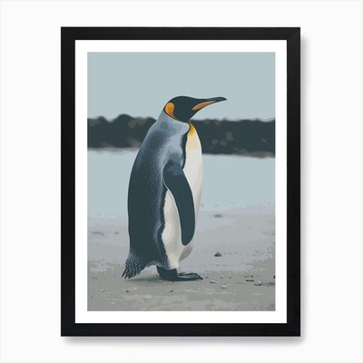 King Penguin Floreana Island Minima Framed Wall Art Poster Canvas Print Picture
