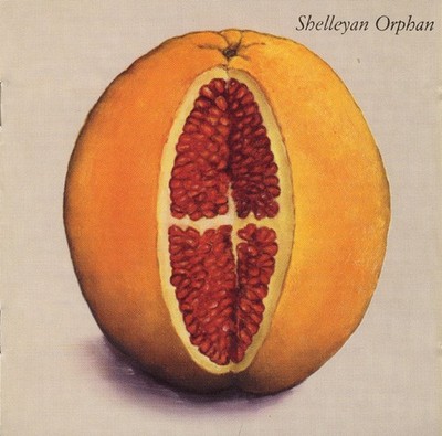Shelleyan Orphan - Humroot (CD) Like New
