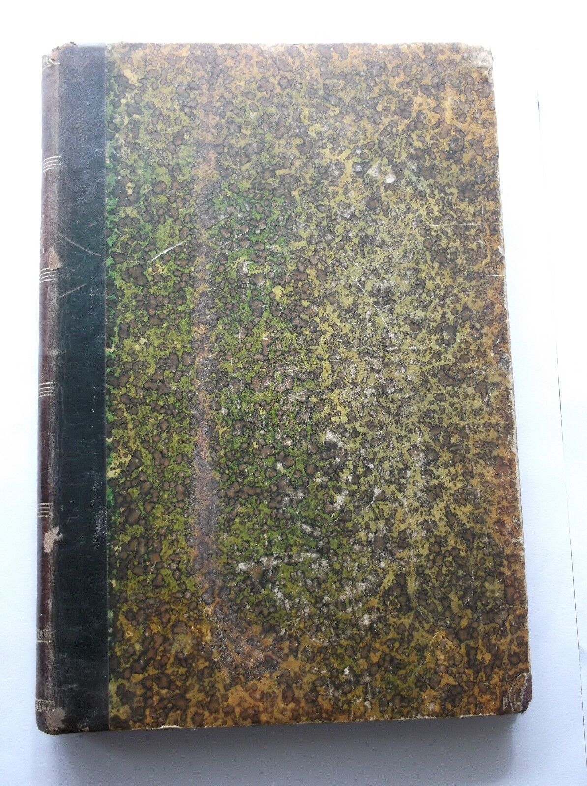 Foto 4 di 12