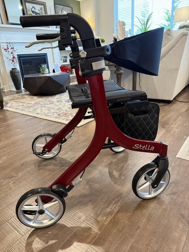 Rollator walker with seat for Petite Person 4'10" to 5'5"