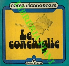 TIBALDI Ettore - Come riconoscere le conchiglie.