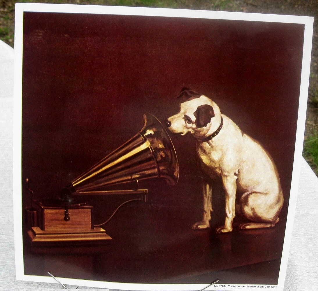 Victor dog hotsell